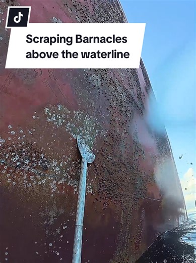 Scraping Barnacles Above the Waterline: A Satisfying Process