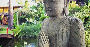 Being the case study, part 2