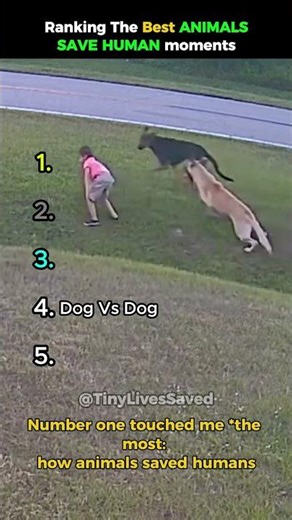 Ranking The Best ANIMALS SAVE HUMAN moments #shorts #ranking #tiktok #unexpectedmoments #dog #cat