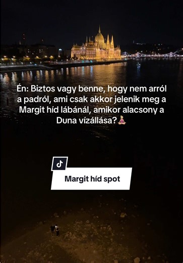 A Parlament látványa a Margit hídról