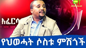 Now imprisoned politican Jawar Mohammed, in an EthioTube interview in October 2016, had the following to say about how to deal with #TPLF Watch Full Interview Here: https://youtu.be/4yx3oU0tzpc | EthioTube