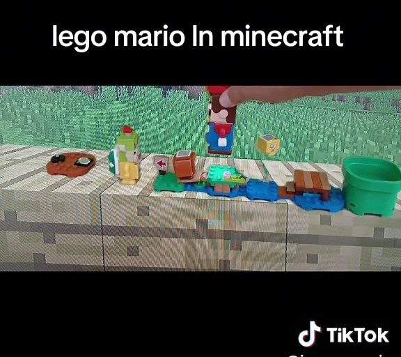 Lego Mario and Minecraft