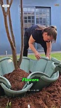 Why Don’t More Americans Landscape Around Trees Like This?#Landscaping #YardUpgrade #GardenDesign