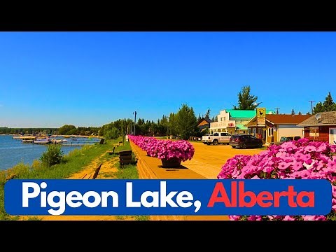 Exploring Pigeon Lake, Alberta