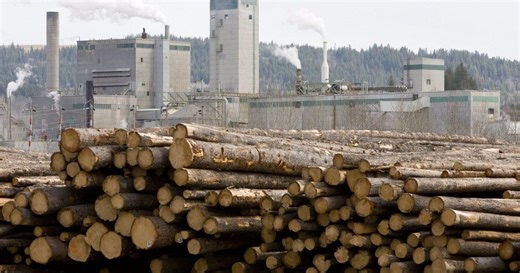 West Fraser to curtail High Level, Alta., mill; 190 jobs affected