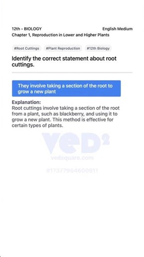 Root Cuttings Explained 12th Biology Reproduction in Plants