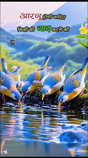 good morning video || beautiful animated good morning || good morning song || blooming beauty