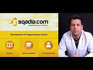 Development Of Integumentary System | Introduction