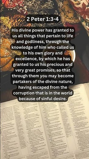 Journey of faith and spiritual growth | 2 Peter 1:3-4 Daily Bible Verse
