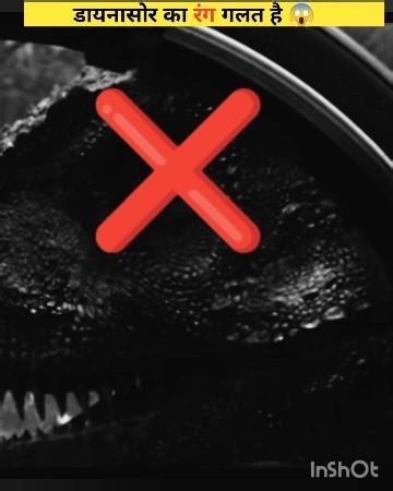 scientist still Don't know the real colours of dinosaur 🦕