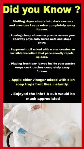 Keep Bugs Away With These Simple Tricks