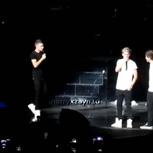 Born to Be Runway Models - Niall Horan, Liam Payne, and Harry Styles
