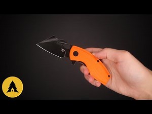 Складной нож Bestech Lizard Black