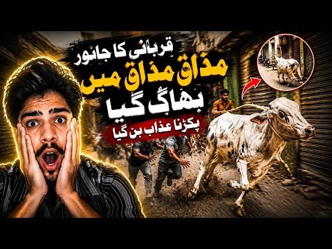 Qurbani Ka Janwar Bhaag Gaya 😱 | Pakarna Azaab Ban Gaya | Crazy Bakra Eid Vlog