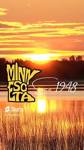 7.1K views · 18 reactions | Quick Sweep HD | Skid Steer Broom HD | Quick Attach Attachments | Facebook