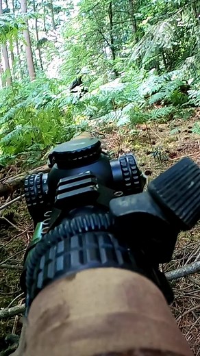 close encounter #airsoft #ghillie #gameplay | Silly Ghillie