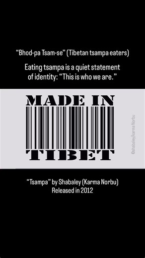 For Tibetans, tsampa is much more than a staple food. It is a powerful marker of cultural identity. Tibetans often refer to themselves with pride as “Bhod-pa Tsam-se” (Tibetan tsampa eaters), a phrase that connects them to the high Tibetan Plateau, to their ancestors, and to a way of life shaped by harsh climate, high altitude, and resilience. _ The song “Tsampa” by Shabaley (Karma Norbu) was released in 2012 and became widely loved among Tibetan youth and the Tibetan diaspora. The song celebrat