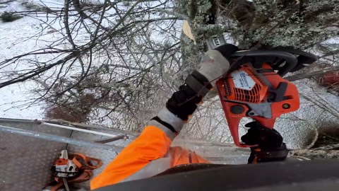 Climbing Trees with an Excavator in Extreme Weather Conditions