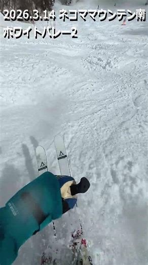 2026.3.14 ネコママウンテン南 ホワイトバレー2 (#スキー #コブ #モーグル #新雪 #パウダー #会津 #ネコマ #アルツ #ネコママウンテン #shorts)