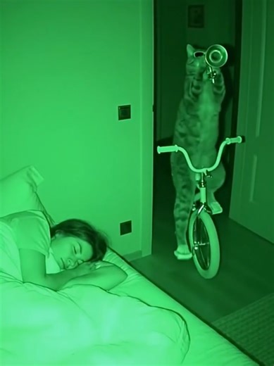 cat playing the trumpet at 3AM😂 #cat #trumpet #3am #night #funny