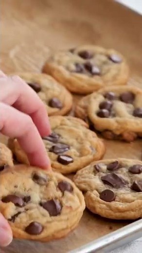 Mini Chocolate Chip Cookies, so cute and delicious!