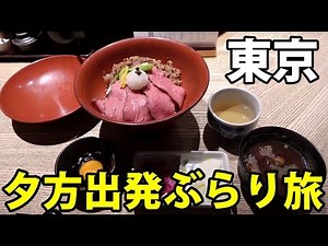 A short trip to eat delicious food in Tokyo and visit observation decks {Iidabashi Station to Kit...