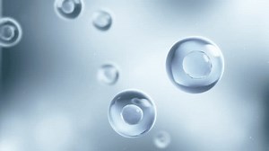 「顕微鏡の下で分裂する幹細胞。細胞分裂またはクローニングセル。クローズアップをクローニングしています。明るい新鮮な背景に3Dアニメーション。」の動画素材（ロイヤリティフリー）3703240791 | Shutterstock