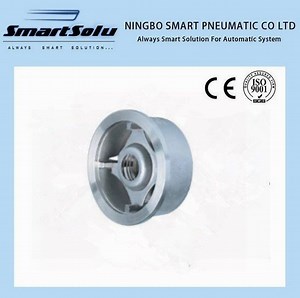 [Hot Item] Wafer Type Disc Check Valve