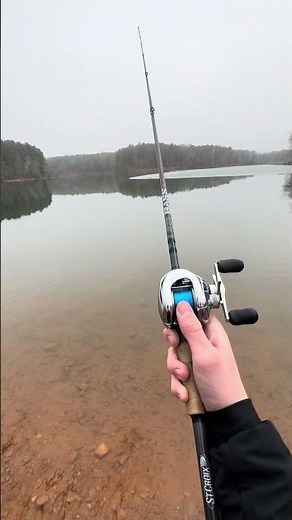 Shimano Antares DC 7 #fishing #bassfishing