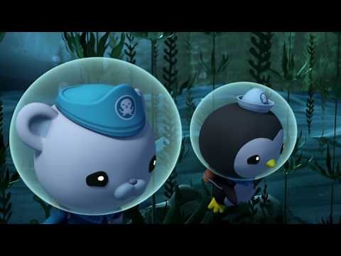 Octonauts and the Swashbuckling Swordfish - Full Episode