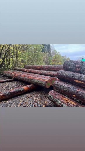 These fine Larch logs were grown within five miles of my house build, on the Forrest Estate, Dalry. . The timber was processed using a mobile Woodmizer sawmill, operated by Keith Threadgall - Sawmiller extraordinaire! All cladding and fencing was treated using black Sadolin exterior coating. Big up quality home grown timber - I just ❤️ my wee hoose! | John Paterson