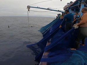 Amazing loading a fishing boat, net fishing with boat, fishing boat with net | Muammar Rafly