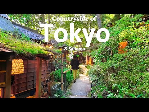 Rural Tokyo, 1 Hour from Shinjuku | Ghibli-Like Summer | Akiruno & Tokorozawa | JAPAN TRAVEL VLOG