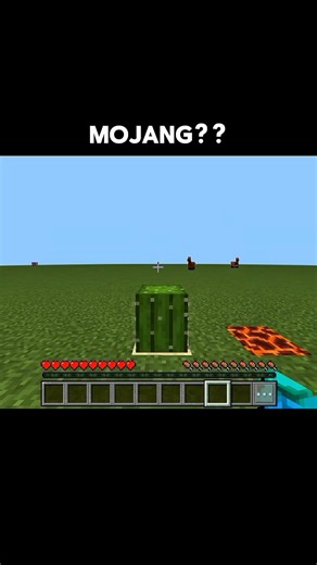 The Truth About Mojang in Minecraft 🔥