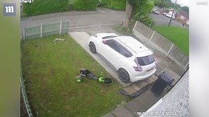 Hilarious moment dog is seen jumping out of a window