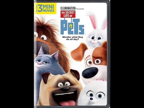 Opening to The Secret Life of Pets DVD (2016)