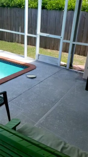 28K views · 152 reactions | You'll never guess where we found this python! | Affordable Wildlife Removal | Facebook