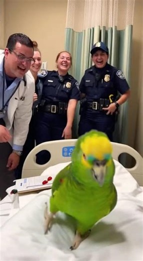 Parrot Starts Talking & Everyone Loses It 🤣 #parrot #talkingparrot #viralparrot #shorts