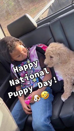 Adorable Dog Pouting on National Puppy Day!