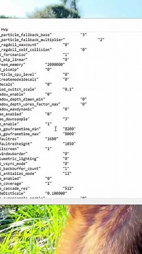 BEST Video Config File Settings for Apex Legends