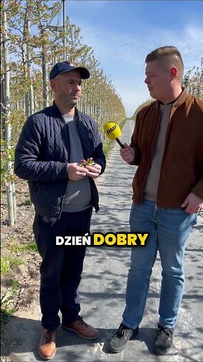 Frost has devastated orchards in Poland. Can the damage be repaired? #rmf24