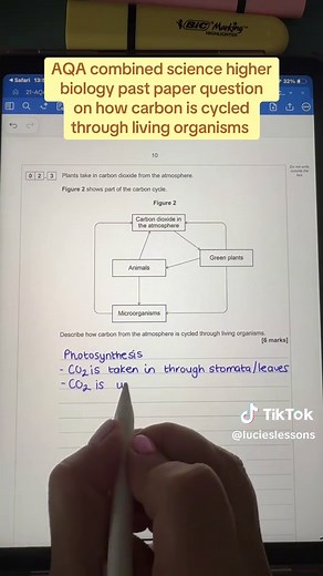 Understanding the Carbon Cycle in AQA Combined Science