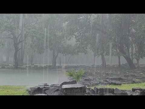 Heavy natural rain sound hit on zinc roof make sound, Rain Sounds Calm &Ambience Relaxing for Sleep