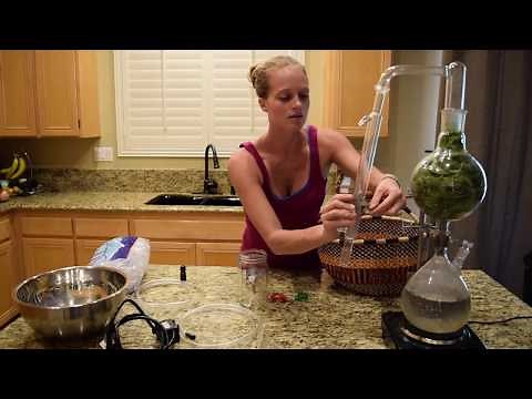 How to Make Essential Oils!