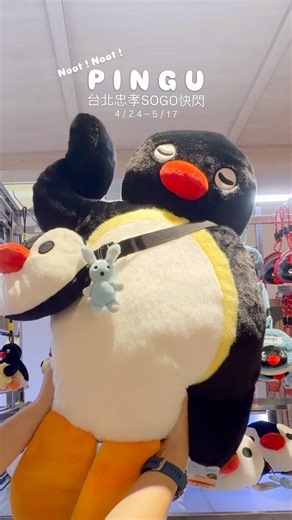 PINGU家族台北快閃企鵝家族突襲台北巨大躺姿PINGU跟巨大吐司PINGU都好好摸 #PINGU快閃 #企鵝家族快閃 #忠孝SOGO #SOGO忠孝館 #NOOTnoot