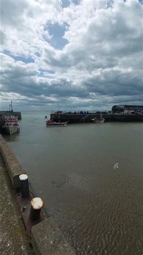 Sunday bridlington harbour 🌊 Yorkshire coast-love it 🦞 🦂 🦞
