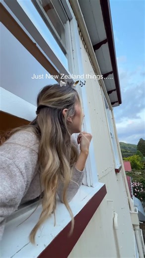 Ashley | Travel | New Zealand on Instagram: "Nothing but bird song 🫶🏼 #nztravel #nzbirds"