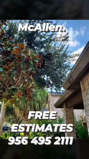 Yard & Gardening Services Lawn Care Services. Cut Trees. Wood Fence Services. General Labor. Free Estimates. Call/Text 956-495-2111 | Yard & Gardening Services