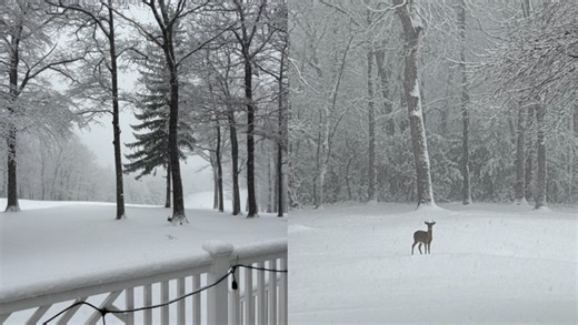 Snow falling in North Carolina | Photos and videos