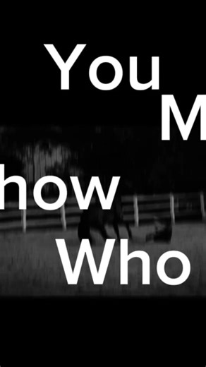 riding fails #horse #equestrian #edit #riding